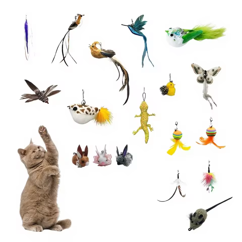 Teasing Stick Accessories Natural Feathers Bite Resistant Cat Wand Cat Toy